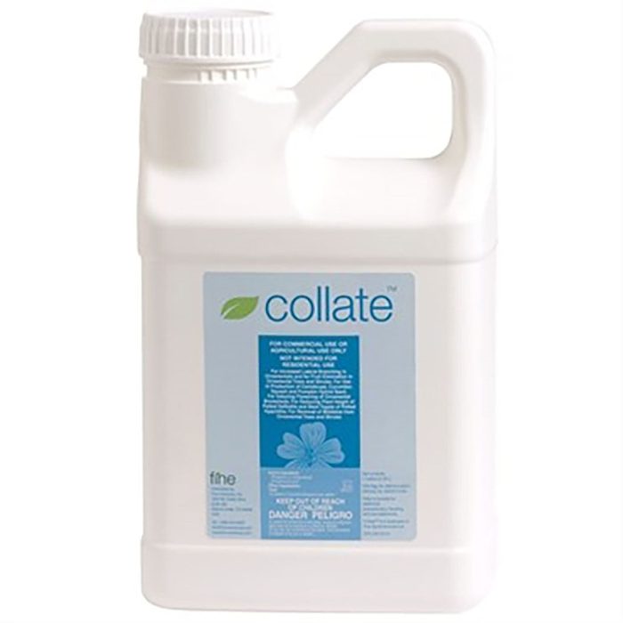 Collate PGR gallon 2