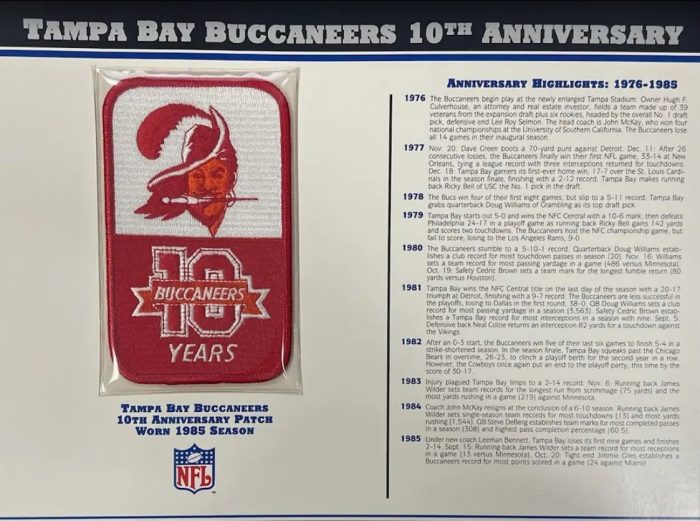 Copy of 1993 Indianapolis Colts 10th Anniversary Willabee Ward Patch With Stat Card Willabee Ward 4822828