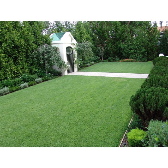 Empire Zoysia Sod Prices 1bf0295b 5e74 4142 91f2 fa227f878b34