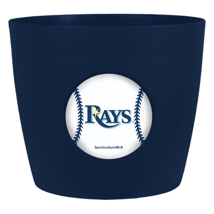 Tampa Bay Rays Button Pot