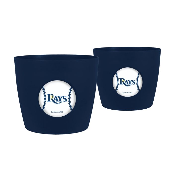 Tampa Bay Rays Button Pot Double