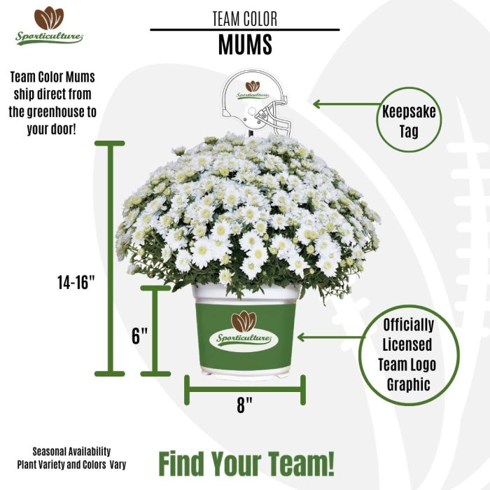 TeamColorMumsInfographic 6009d179 e786 499d b666 89e1cd34d062
