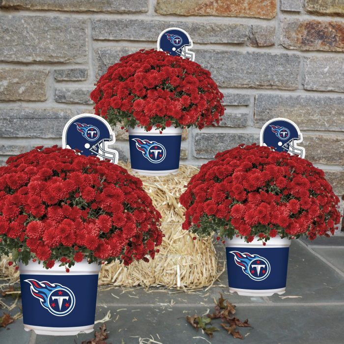 Tennessee Titans Fall Mum Lifestyle 1