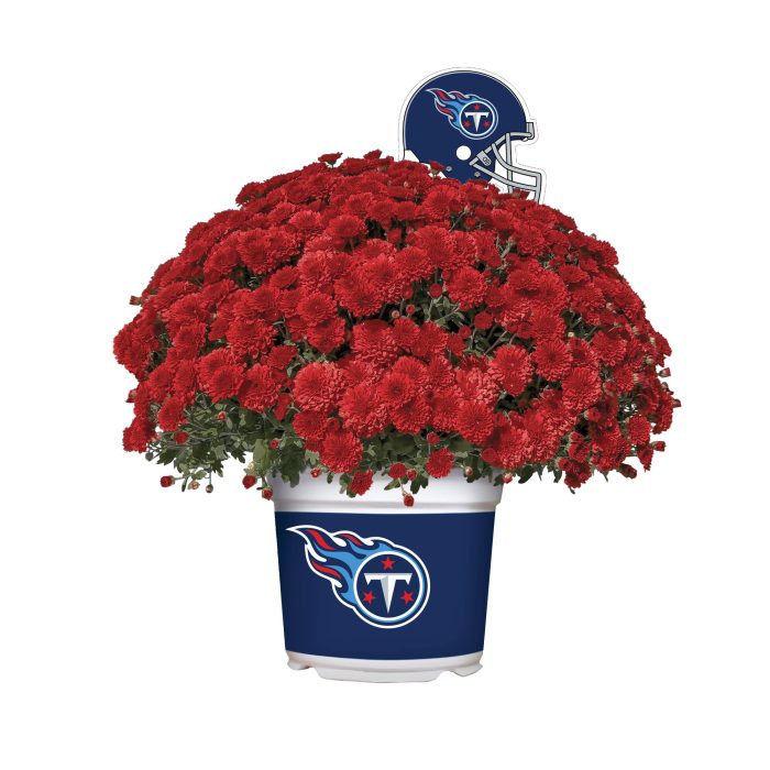 Titans Mum Red 1
