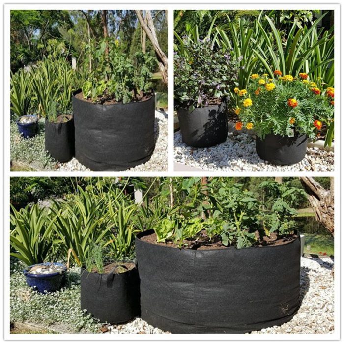 product image 1365543633 2e1e5941 b5f1 4c8f bd2c ce42d20d3799